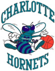 Charlotte Hornets, Basketball team, function toUpperCase() { [native code] }, logo 20101220